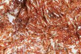 Ruby Red Vanadinite Crystals on Pink Barite - Morocco #82385-1